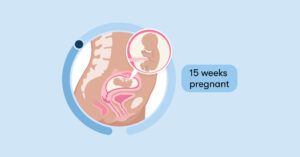 Read more about the article 15 weeks pregnant: Symptoms, tips, and baby development