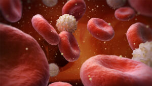 Read more about the article What Happens During the Glucose Test?