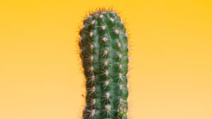 Read more about the article 9 Tips to Ease Sciatica