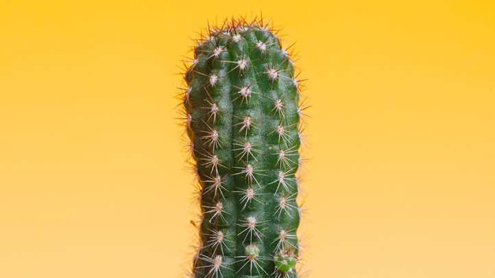 Read more about the article 9 Tips to Ease Sciatica