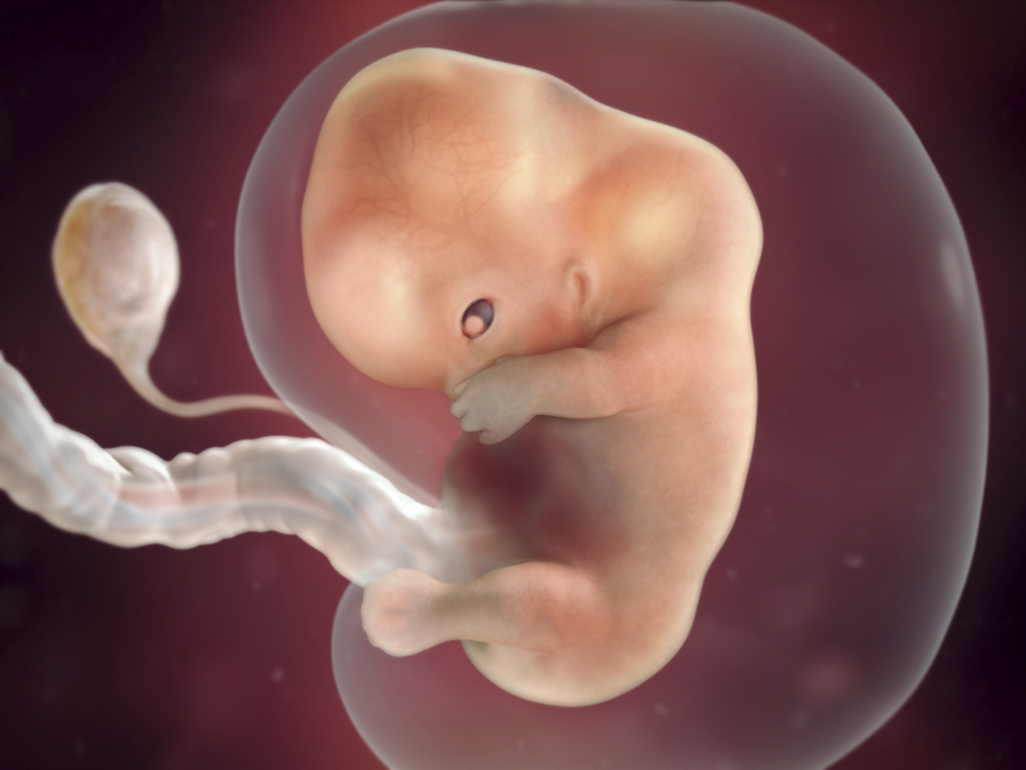 You are currently viewing 9 Weeks Pregnant: Symptoms, Belly Pictures & More